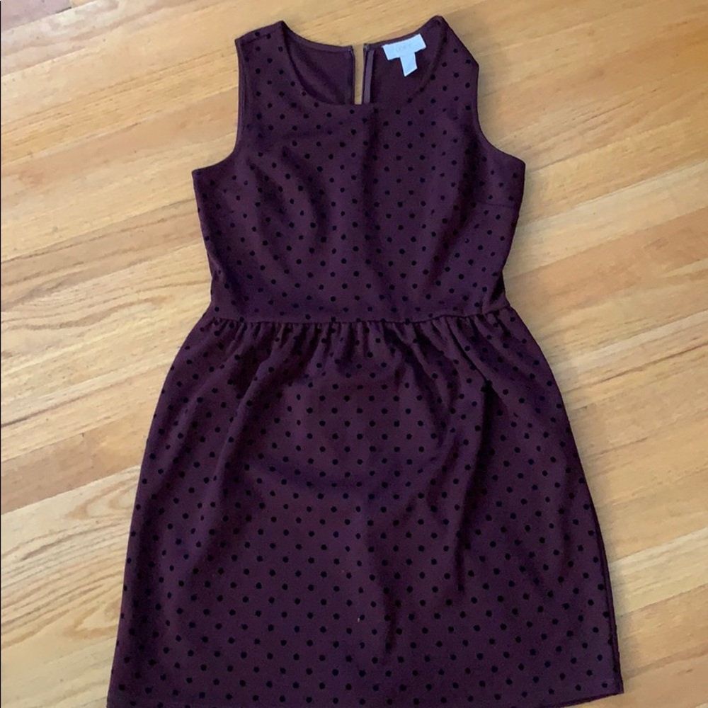Ann Taylor loft a line polka dress